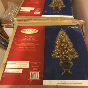 Christmas trees in black urns